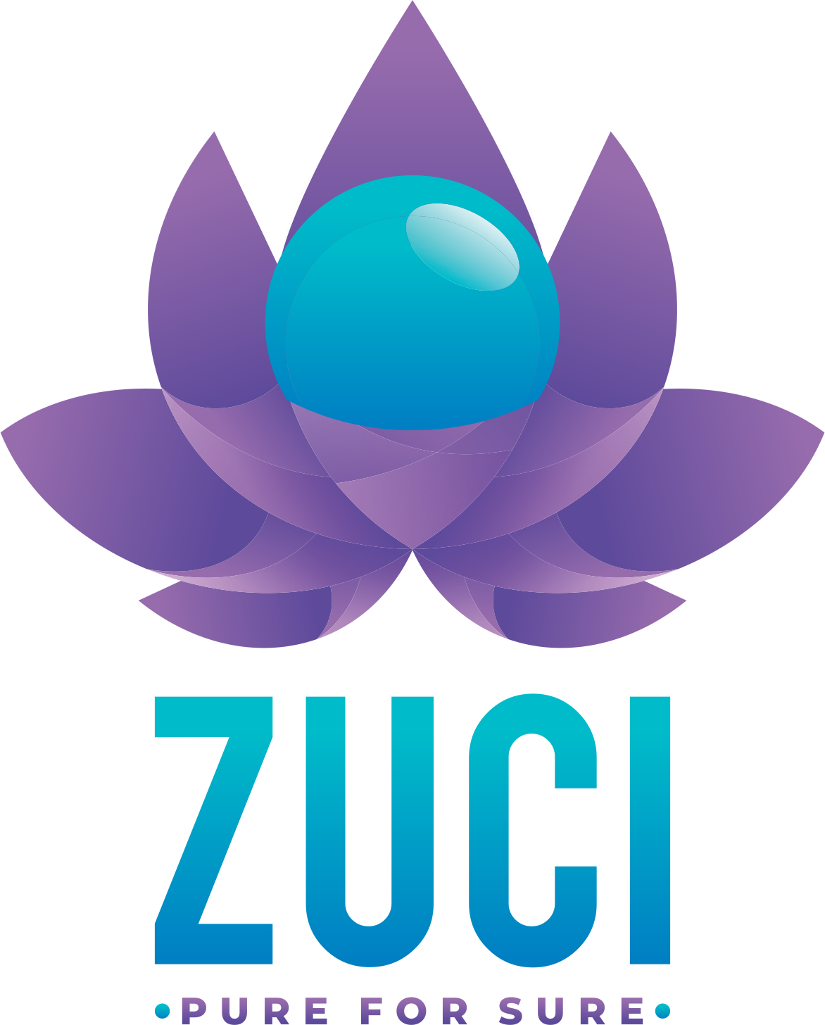 The Zuci